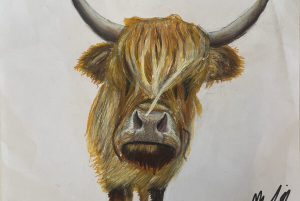 Highland Cow art for my mother’s birthday.